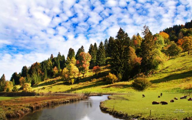 Peaceful Scenery Wallpaper (42+ images)