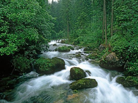 Peaceful Desktop Backgrounds