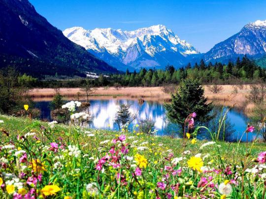 Springtime Backgrounds Desktop