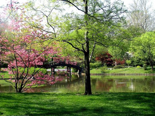 Springtime Wallpapers Image