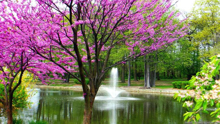 Beautiful Spring Wallpaper \u00b7\u2460 