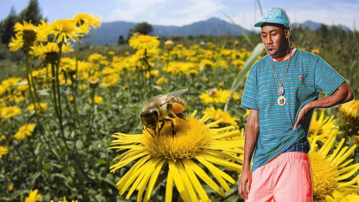 Tyler the Creator Desktop Wallpapers - Top Free Tyler the Creator 