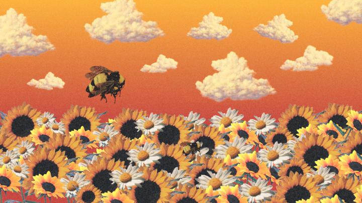 Tyler, The Creator Wallpapers