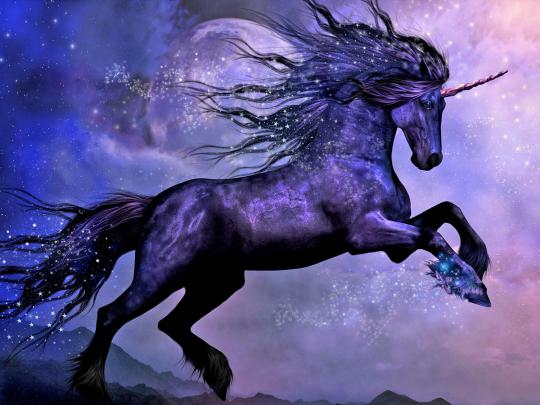 Fantasy Animals, Unicorn wallpaper, Black, Moon, Night \u2022 Wallpaper For 