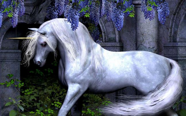 Unicorn Backgrounds For Desktop