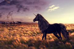 Unicorn Desktop Wallpaper