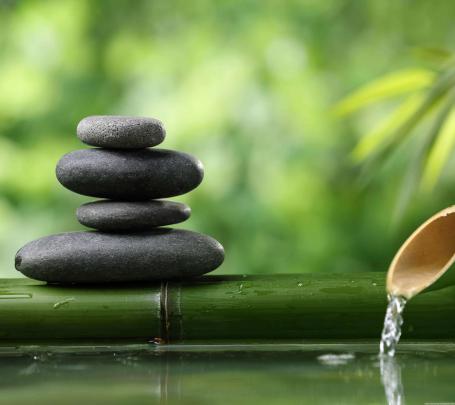[49+] Free Zen Wallpaper 