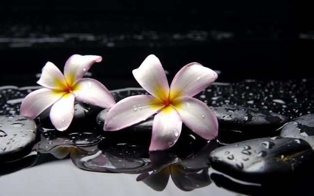 Zen Desktop Wallpaper (77+ images)