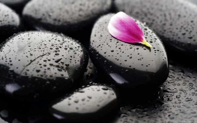 Zen Awesome HD Wallpapers And Desktop Backgrounds In High Resolution 