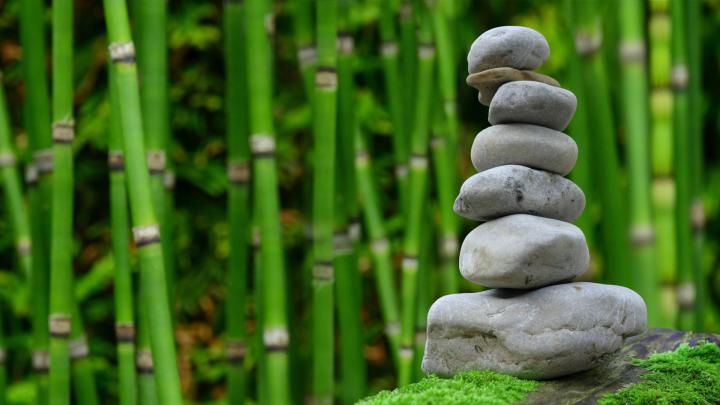 Stock Images stones, bamboo, green, 4k, Stock Images #15785