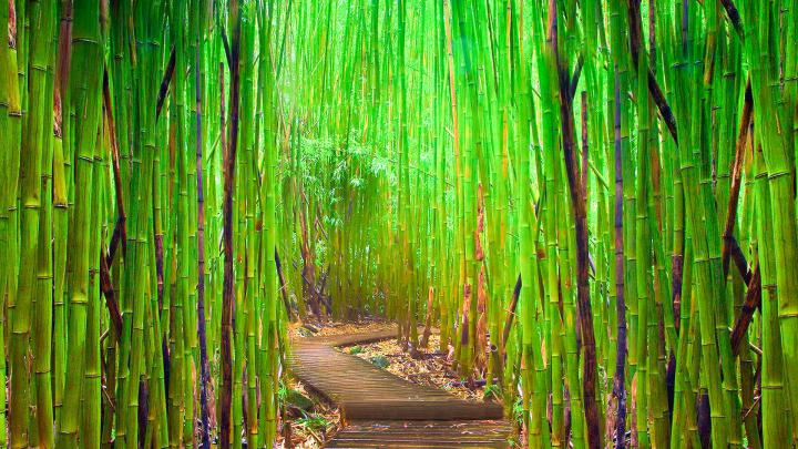 Faux Bamboo Collection | Diablery.com