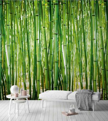 Bamboo Wallpaper - Papirio