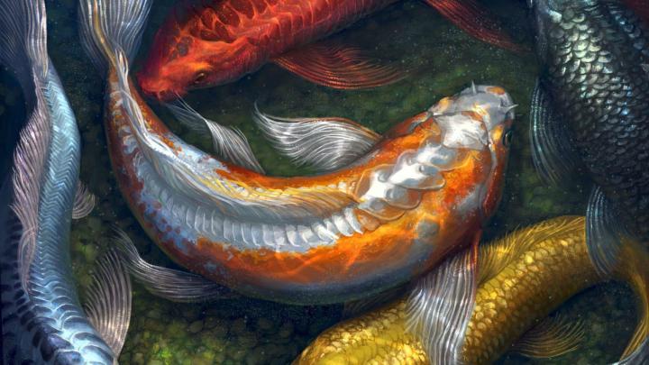 4K Fish Wallpapers High Quality | Download Free