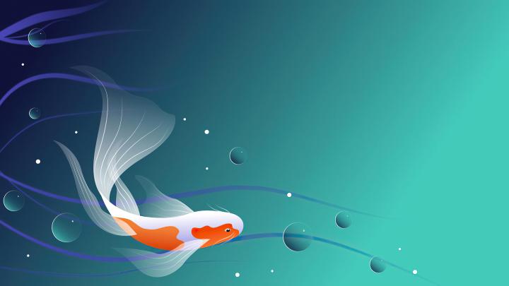 1920x1080 Fish Minimal 4k Laptop Full HD 1080P HD 4k Wallpapers, Images 