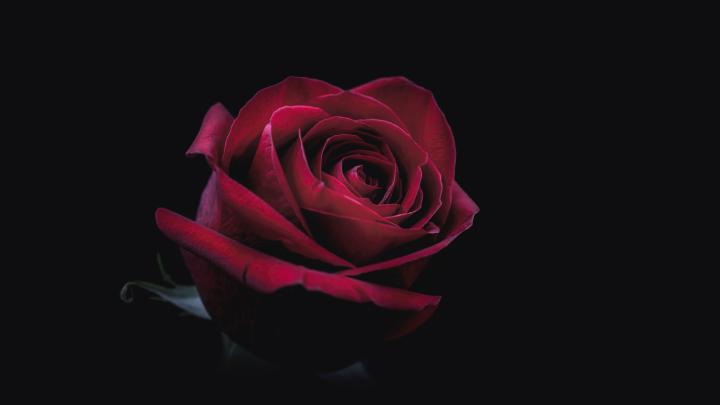Ultra 4K OLED Wallpapers - Top Free Ultra 4K OLED Backgrounds 