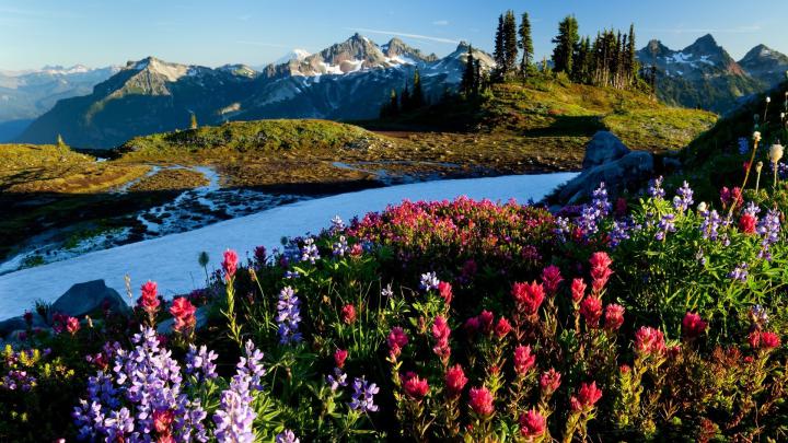 4K Spring Wallpapers High Quality | Download Free