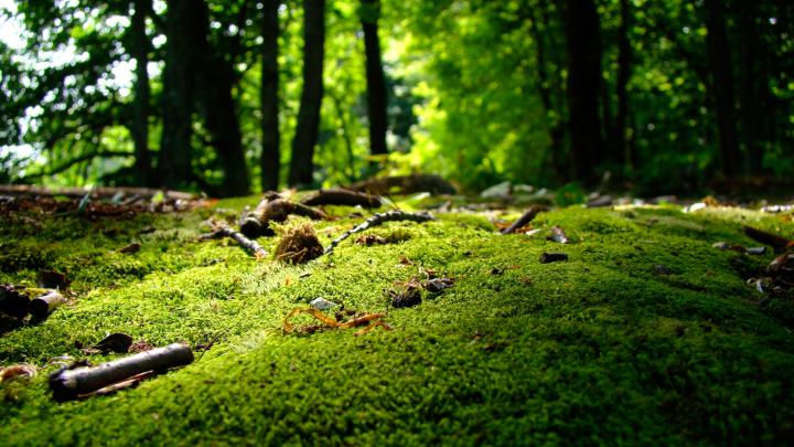 4K Spring Wallpapers High Quality | Download Free