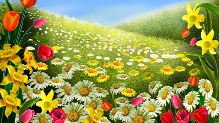 4K Spring Wallpapers High Quality | Download Free