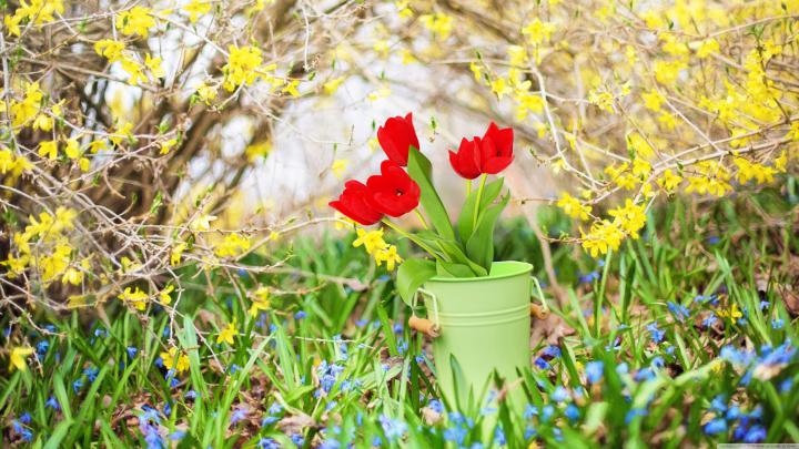 4K Spring Wallpapers - Top Free 4K Spring Backgrounds - WallpaperAccess