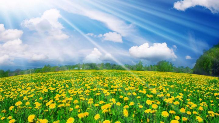 4K Spring Wallpapers High Quality | Download Free