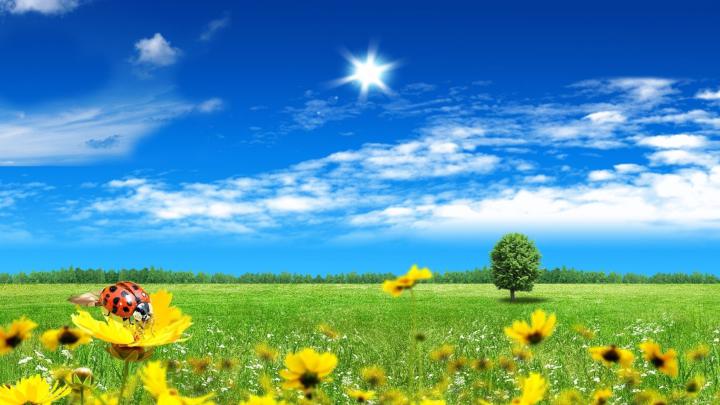 4K Spring Wallpapers High Quality | Download Free