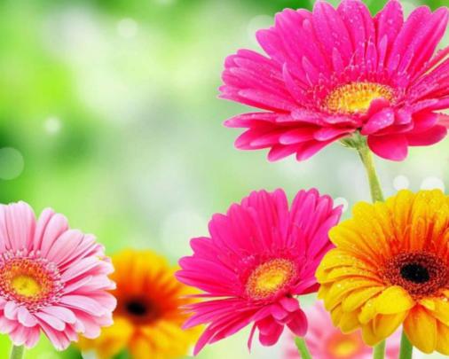 Free download Beautiful 4K Spring Wallpaper 4K Wallpaper [3840x2160 