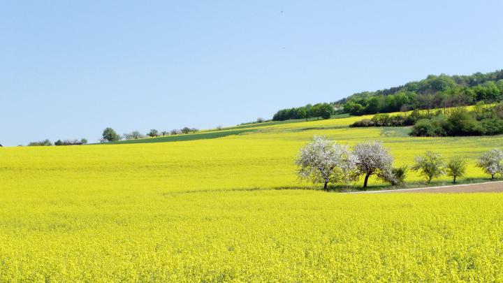 19++ Spring Ultra Hd Wallpaper - Basty Wallpaper
