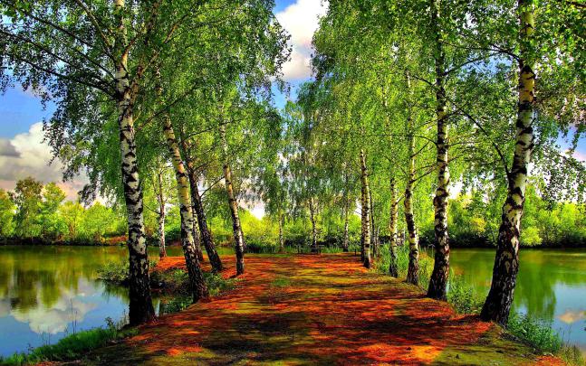 Spring Nature Wallpapers (70+ background pictures)