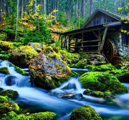 4k nature spring wallpaper | HD Wallpapers , HD Backgrounds,Tumblr 