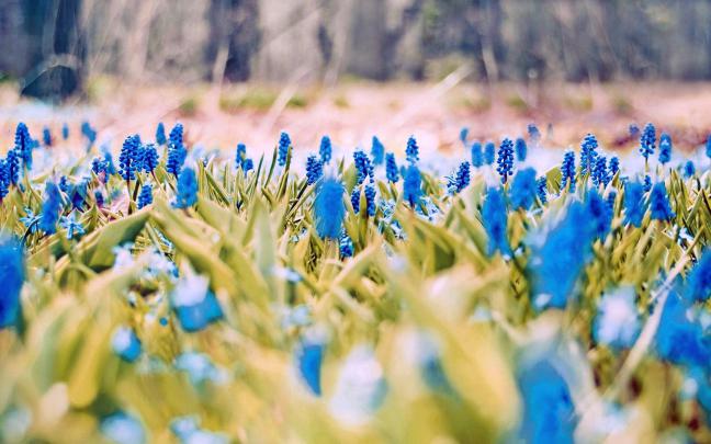 Spring Computer Wallpapers - Top Free Spring Computer Backgrounds 