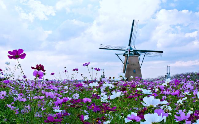 Spring 4k Ultra HD Wallpaper | Sfondo | 3840x2400