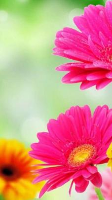 Free download Beautiful 4K Spring Wallpaper 4K Wallpaper [3840x2160 