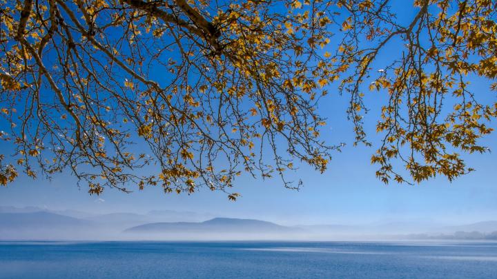 Desktop Wallpaper Lake, Tree Branch, 4k, Spring, Hd Image, Picture 