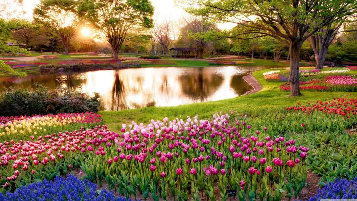4K Spring Wallpapers - Top Free 4K Spring Backgrounds - WallpaperAccess