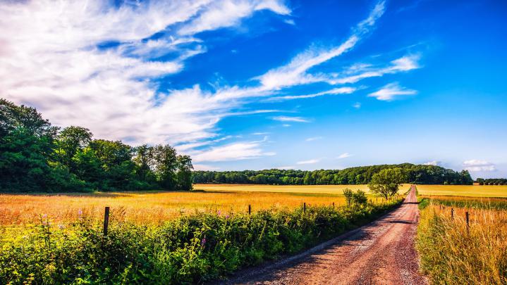 4K Summer Wallpapers - Top Free 4K Summer Backgrounds - WallpaperAccess