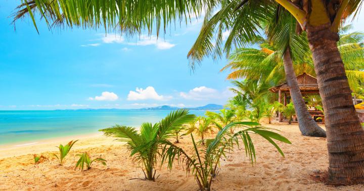 Summer 4K Ultra Wide Wallpapers - Top Free Summer 4K Ultra Wide 