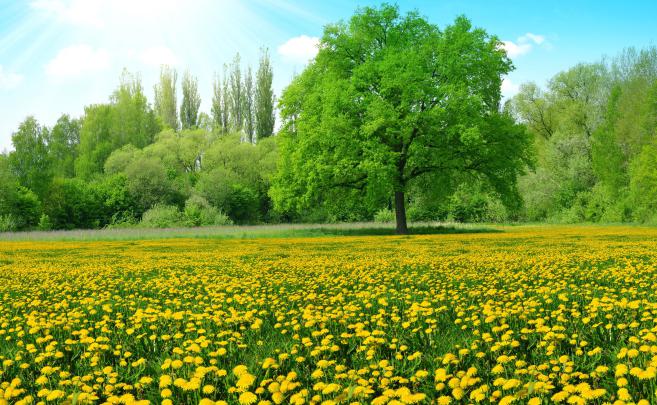 4K Summer Wallpapers High Quality | Download Free