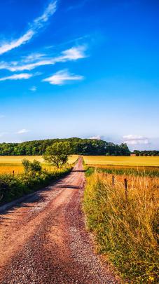 4K Summer Wallpapers - Top Free 4K Summer Backgrounds - WallpaperAccess