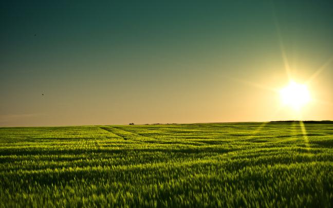 4K Summer Wallpapers High Quality | Download Free