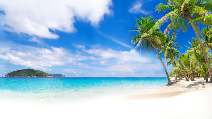 summer 4k Ultra HD Wallpaper | Background Image | 4395x2472 | 602890 