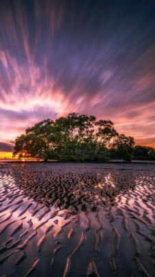 11+ 4k Wallpaper Nature For Android - Basty Wallpaper