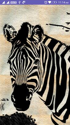 Amazon.com: Zebra 4k Wallpaper: Appstore for Android