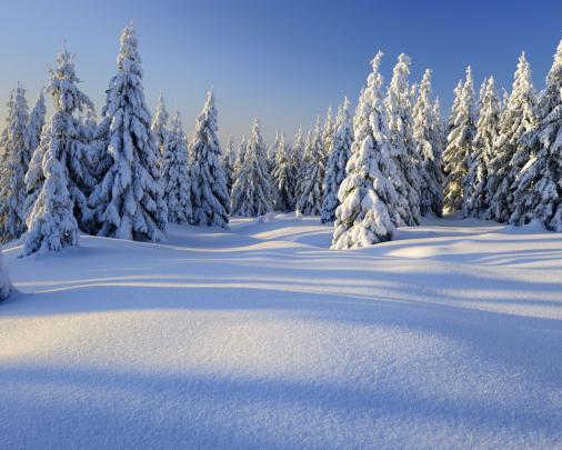 Free download peaceful winter day 4k wallpaper View HD [3840x2160] for 