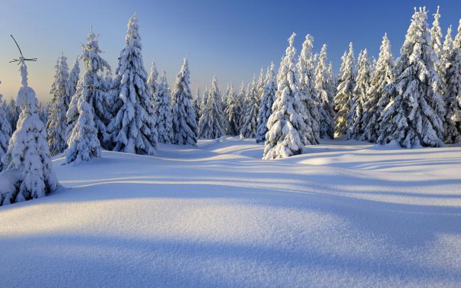 Free download peaceful winter day 4k wallpaper View HD [3840x2160] for 