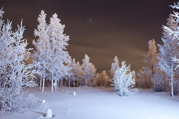 Free download Download Wallpaper 3840x2160 Winter Forest Snow 4K Ultra 