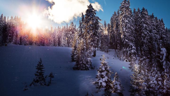 4K Winter Wallpaper -