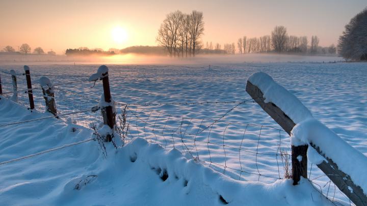 Winter Morning Wallpaper 4K - HD Wallpaper Background