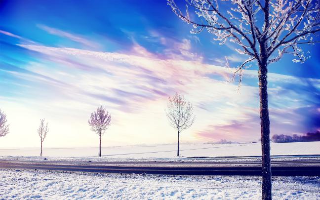 Snow Winter Trees 2, HD Nature, 4k Wallpapers, Images, Backgrounds 