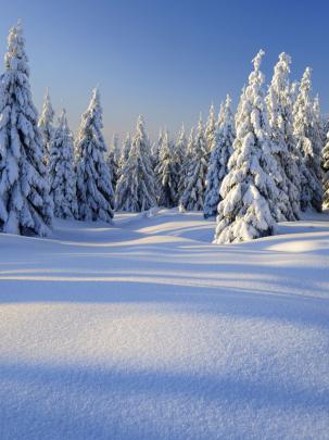 Free download peaceful winter day 4k wallpaper View HD [3840x2160] for 