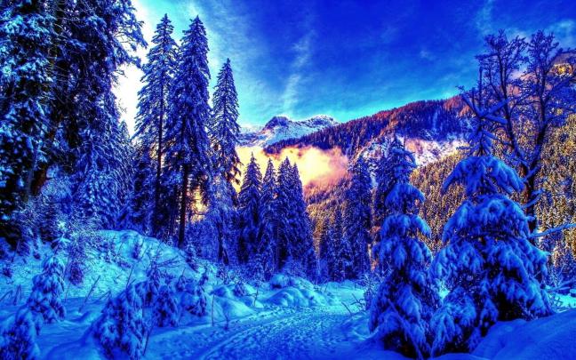 23+ Winter Wallpaper 4k Download - Basty Wallpaper